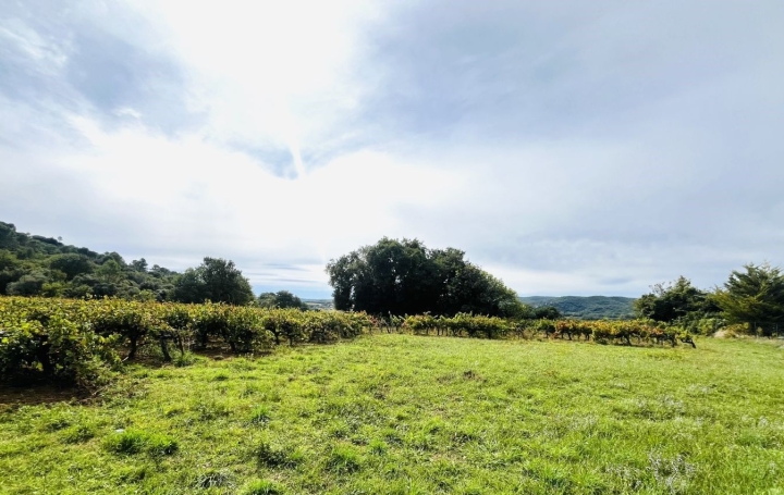  Midimas Immo Terrain | GOUDARGUES (30630) | 0 m2 | 255 600 € 